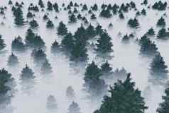 树雾