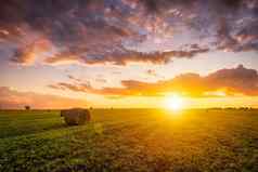 日落场干草堆夏天早期秋天晚上多云的天空背景采购动物饲料农业