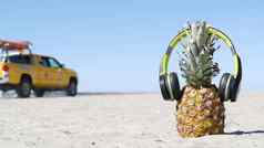 菠萝耳机桑迪海洋海滩海岸热带夏天异国情调的水果菠萝海岸