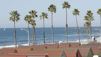 别墅海滨加州美国海滨平房海洋海滩棕榈树夏天海景