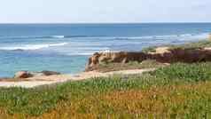 海景考虑到点加州海岸美国海洋潮蓝色的海波忽视冰植物多汁的