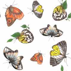 蝴蝶大小白色背景无缝的模式蝴蝶