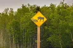 驼鹿标志纽芬兰