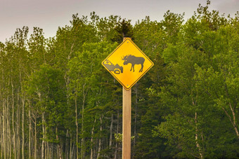 驼鹿标志纽芬兰