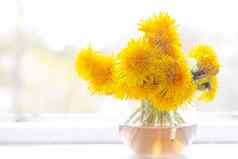 花束黄色的蒲公英花瓶窗口明亮的黄色的花房间装饰花窗台上