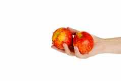 手持有红色的黄色的苹果断路孤立的白色背景多汁的健康的水果美味的自然维生素抗氧化剂营养吃健康饮食食物
