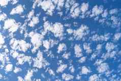 蓝色的天空云高积云群羊