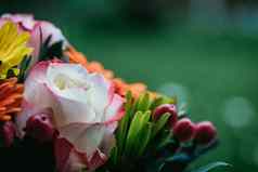 情人节母亲的一天概念关闭粉红色的玫瑰花花束