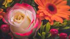 情人节母亲的一天概念关闭粉红色的玫瑰花花束