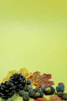 松锥秋天叶子种子黄色的背景秋天感恩节背景复制空间