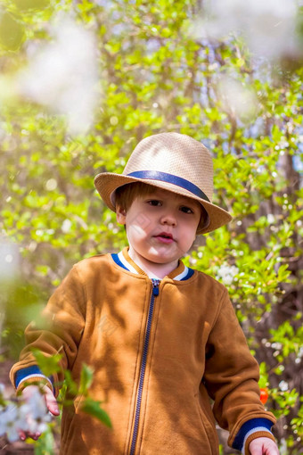 可爱的婴儿男孩穿他花园迷人的孩子帮助父母成长蔬菜
