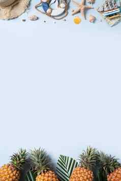 夏天水果背景设计概念海滩贝壳他菠萝棕榈叶子蓝色的背景