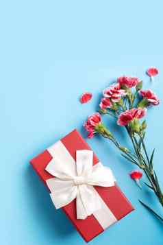 概念母亲的一天假期问候礼物康乃馨花束明亮的蓝色的表格背景