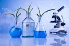 显微镜实验室玻璃器皿植物实验室实验