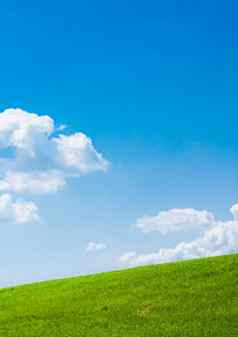 绿色场蓝色的天空云美丽的草地自然环境背景