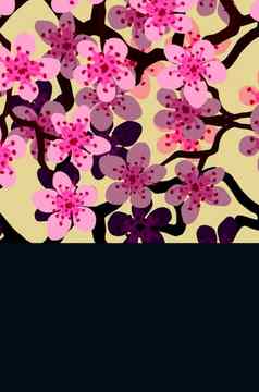 现代垂直业务卡设计模板粉红色的樱花樱桃开花花装饰黑色的背景模板溢价礼物凭证折扣优惠券问候卡包装复制空间