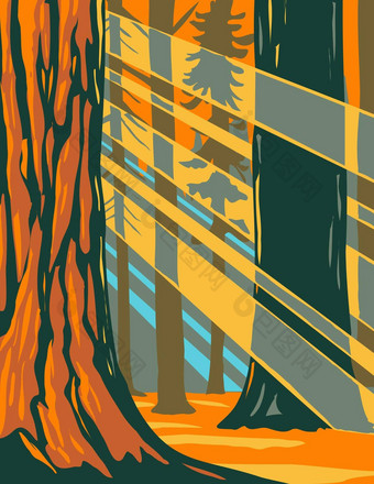 阳光巨大的红杉资本树红杉资本国家公园位于塞拉内华达加州水渍险海报艺术