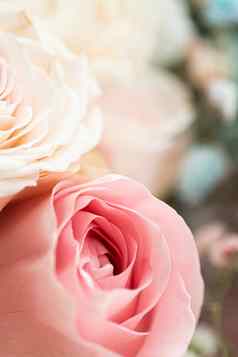 玫瑰花花园花美植物背景婚礼邀请问候卡自然环境概念