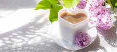 卡布奇诺咖啡咖啡杯分支淡紫色白色背景阴影热喝放松概念自助餐厅广告文章卡布奇诺咖啡使卡布奇诺咖啡淡紫色分支机构复制空间