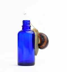 棕色（的）蜗牛坐在蓝色的玻璃透明的瓶吸管产品白色使用