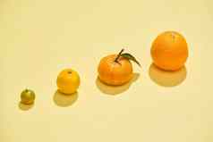 柑橘类水果光黄色的背景金橘柠檬普通话橙色黄色的背景图像
