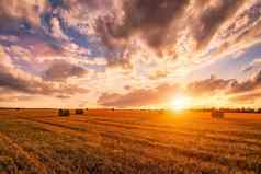 日落场干草堆秋天季节农村景观多云的天空背景阳光明媚的晚上