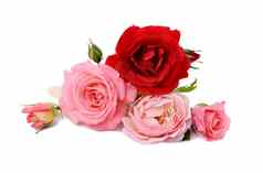 花束红色的粉红色的玫瑰孤立的白色背景节日花束
