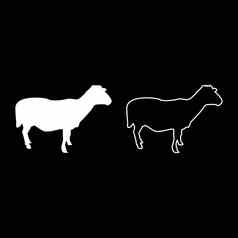 羊同样国内牲畜农场动物恶魔的有蹄的羊肉牛轮廓白色颜色向量插图固体大纲风格图像