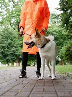 年轻的女人橙色雨衣走狗公园