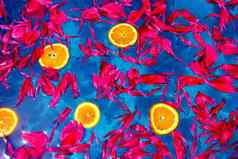 红色的花瓣橙色片浮动蓝色的水