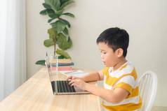 距离学习在线教育小学生男孩研究首页学校家庭作业