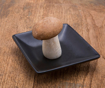 王牡蛎蘑菇孤立的白色背景