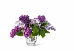 花束美丽的春天紫色的淡紫色花光背景常见的紫丁香植物