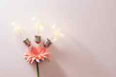 光灯泡保存能源花粉红色的背景