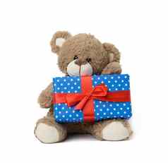 可爱的棕色（的）泰迪熊持有盒子包装蓝色的纸红色的丝绸丝带白色孤立的背景