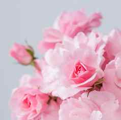 粉红色的玫瑰灰色的背景完美的背景问候卡片邀请婚礼生日情人节一天母亲的一天