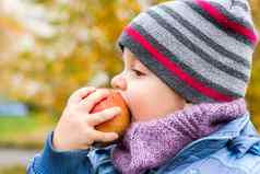 秋天情绪男孩提出了背景黄色的叶子吃多汁的红色的苹果秋天肖像孩子苹果视线可爱的微笑男孩