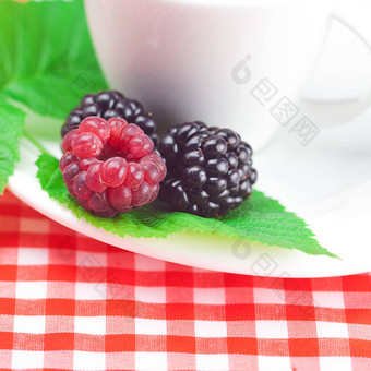 杯茶树莓黑莓叶子格子织物