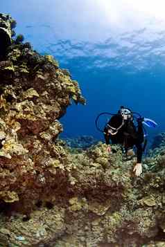 女潜水潜水员游泳夏威夷礁