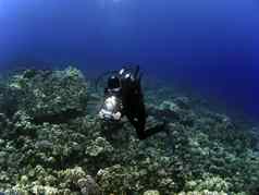 女人水下摄影师潜水潜水科纳夏威夷