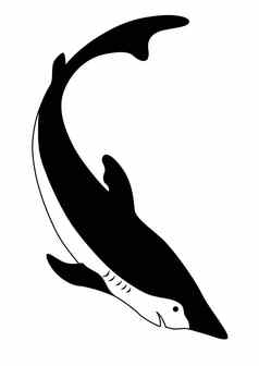 海鲨鱼轮廓白色背景向量插图