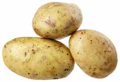 集团土豆