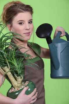 女人浇水室内植物