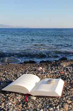 阅读事海滩