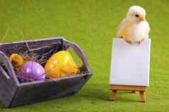 复活节鸡假期概念