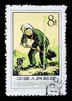 中国约邮票印刷中国显示图像