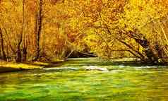美丽的秋天森林河