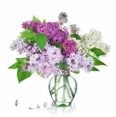 美丽的群淡紫色花瓶