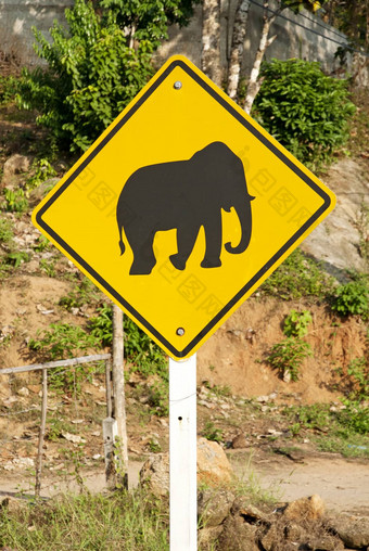 大象穿越路标志泰国