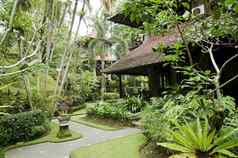 热带花园巴厘岛印尼